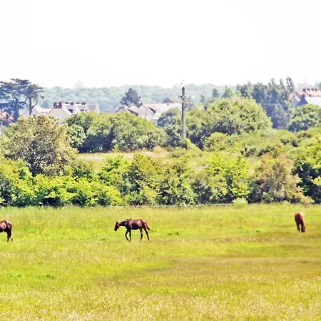 Nocleg ze śniadaniem Double Minquiers Dans Maison, Au Calme Sur Le Gr223 3*
