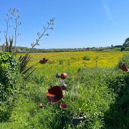 Double Minquiers Dans Maison, Au Calme Sur Le Gr223 3* Barneville-Carteret