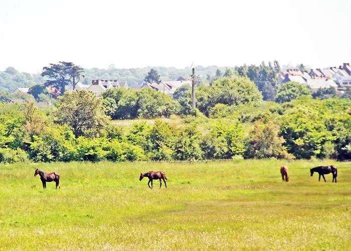 Nocleg ze śniadaniem Double Minquiers Dans Maison, Au Calme Sur Le Gr223 3*